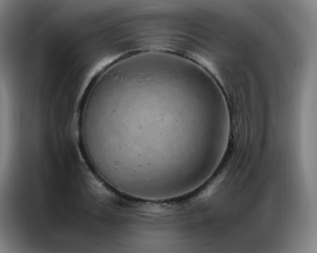 X0000087330987200704201125