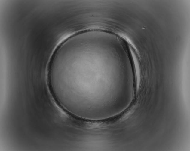 X0000087330991200704201125