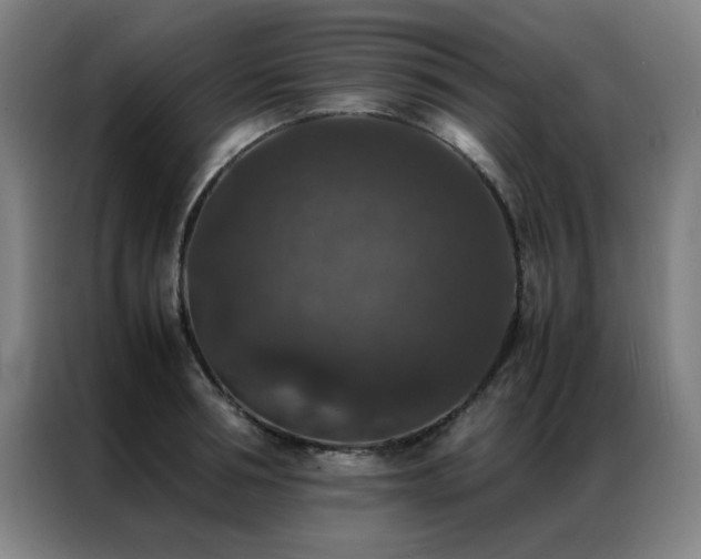 X0000087330994200704201125