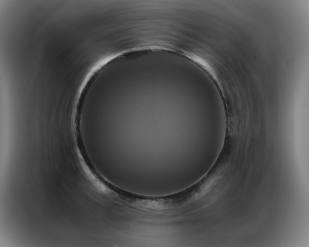 X0000087330995200704201125