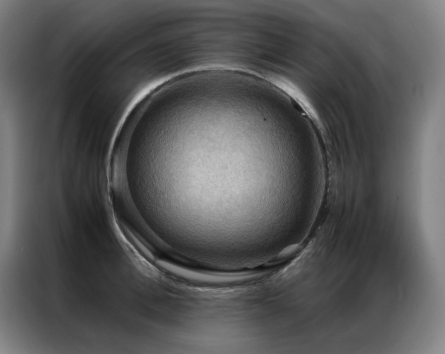 X0000087330996200704201125