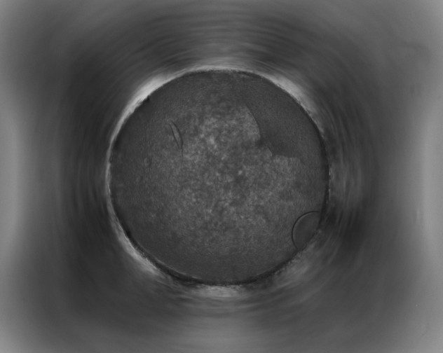 X0000087330998200704201125