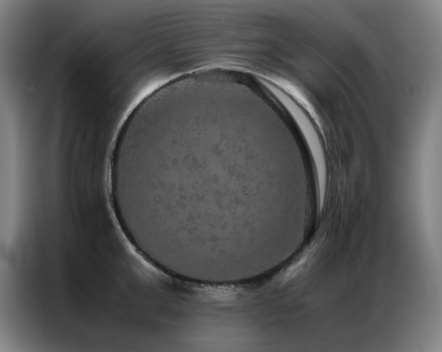X0000087330999200704201125