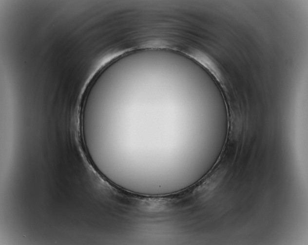 X0000087331000200704201124