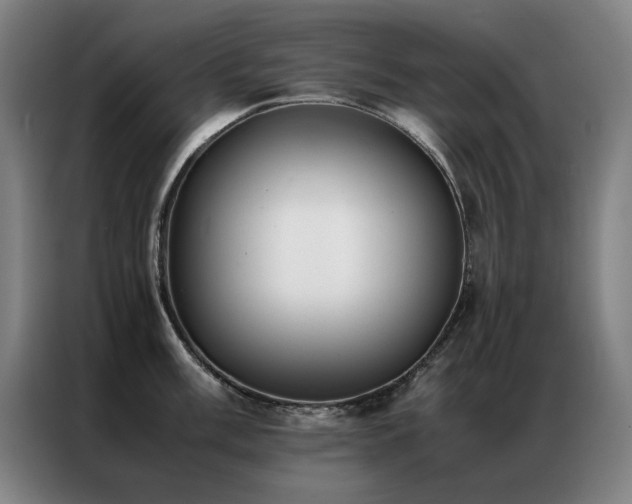 X0000087331003200704201124