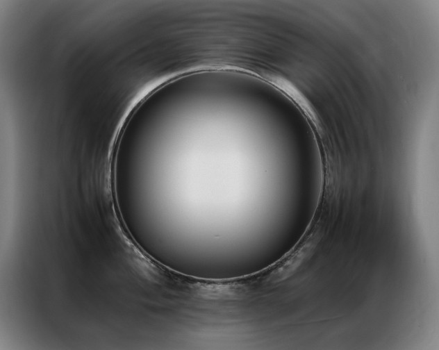 X0000087331004200704201124