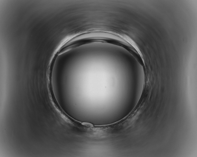 X0000087331005200704201124