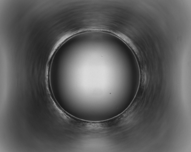 X0000087331006200704201124