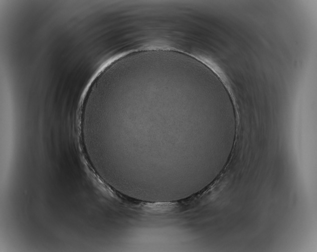 X0000087331008200704201124