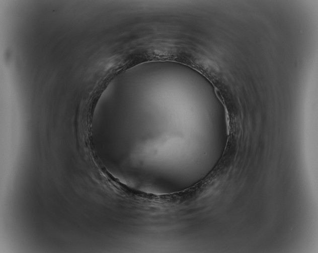 X0000087331009200704201124