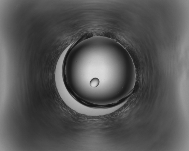 X0000087331010200704201124