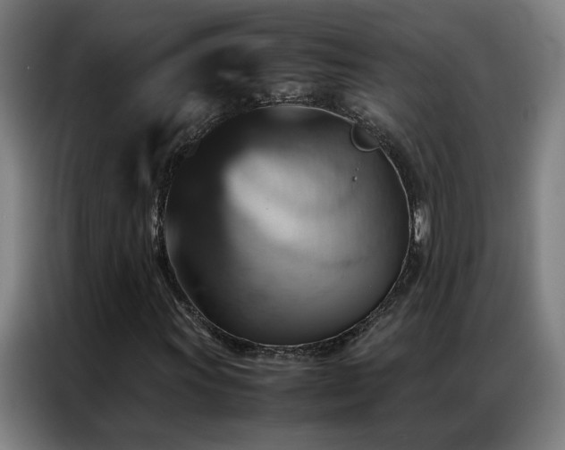 X0000087331011200704201124
