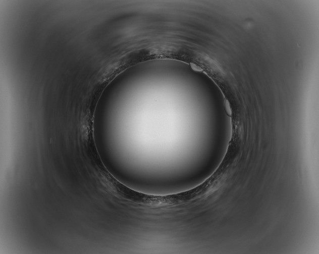X0000087331012200704201124