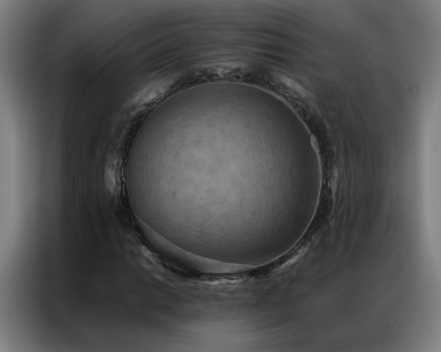 X0000087331014200704201124