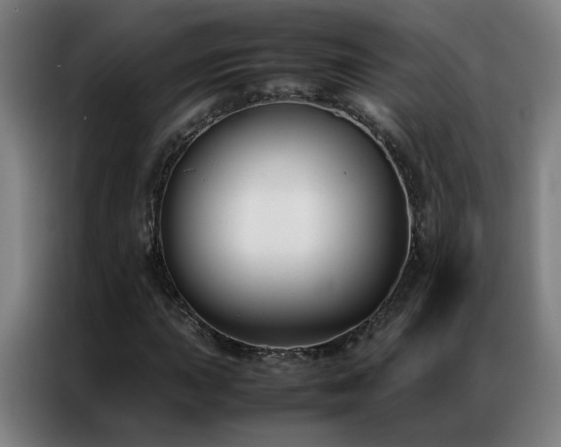 X0000087331015200704201124