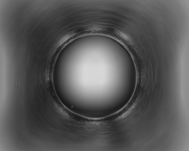 X0000087331017200704201124