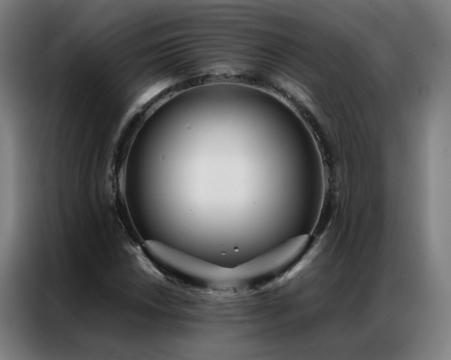 X0000087331018200704201124
