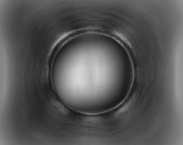 X0000087331021200704201124