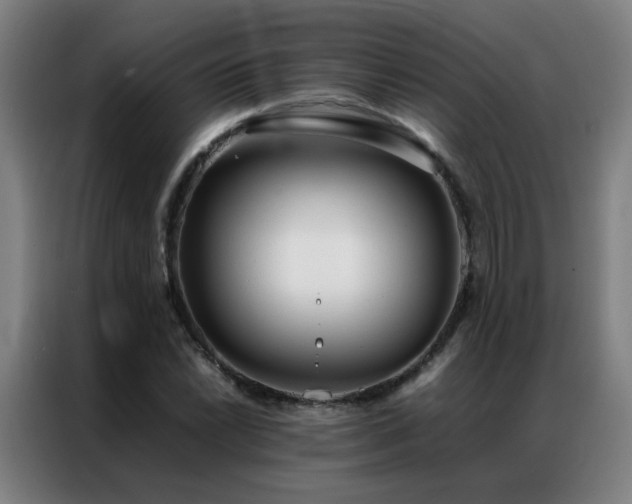 X0000087331022200704201124