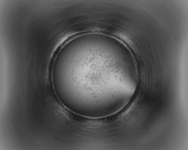 X0000087331023200704201124