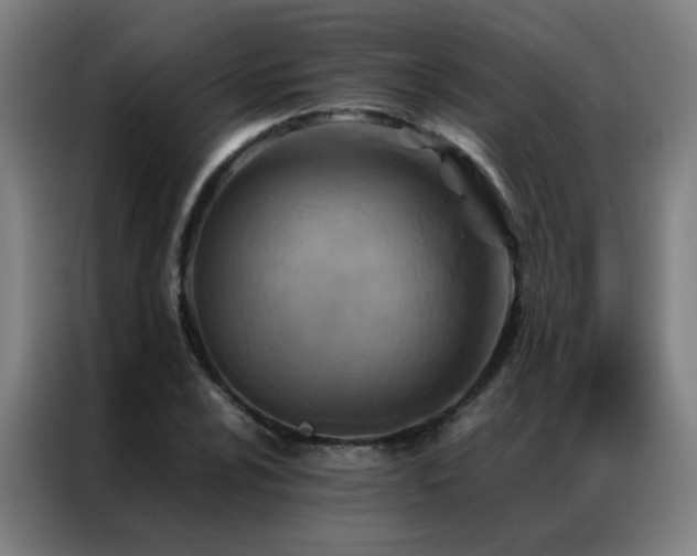 X0000087331024200704201124
