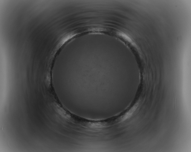 X0000087331025200704201124