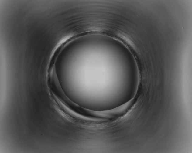 X0000087331026200704201124