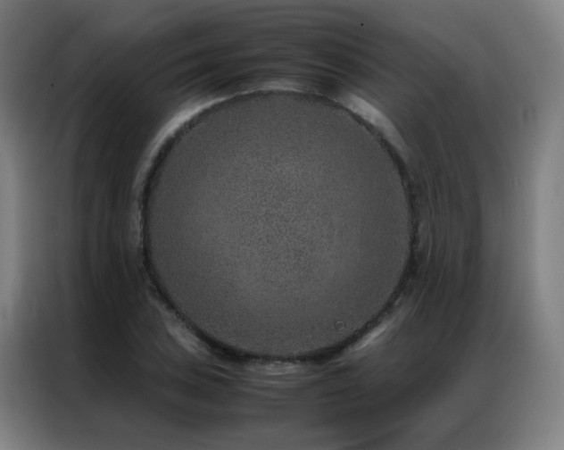 X0000087331027200704201124