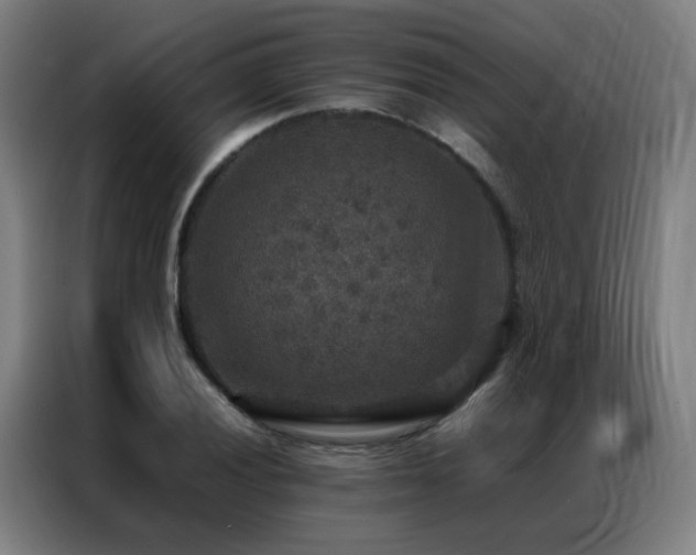 X0000087331028200704201124