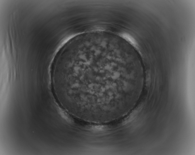 X0000087331031200704201124