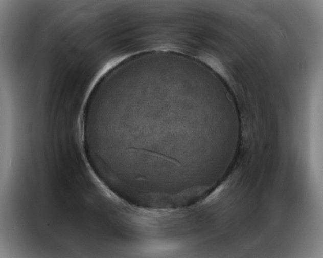 X0000087331032200704201124