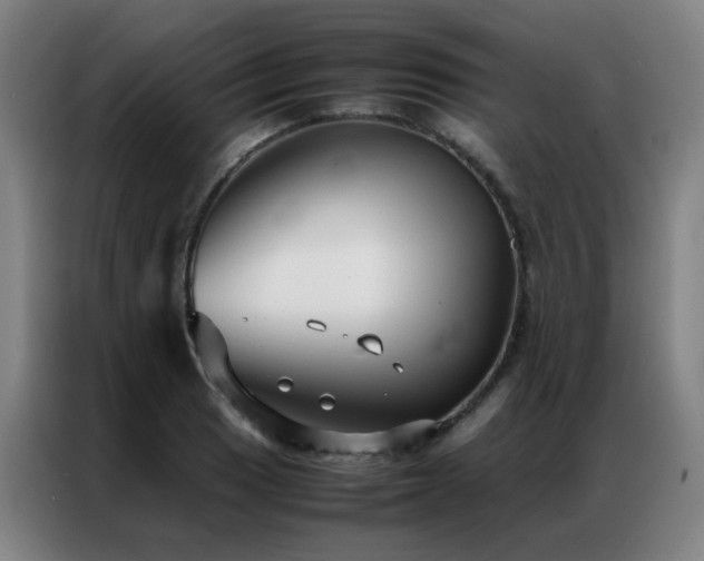 X0000087331033200704201124