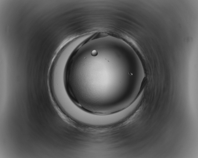 X0000087331034200704201124