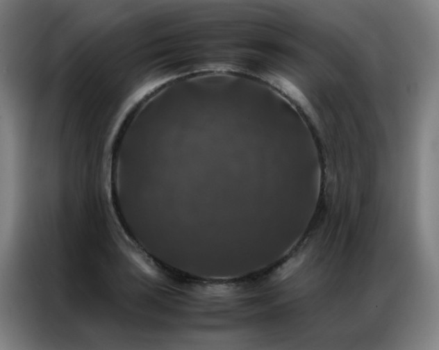 X0000087331035200704201124