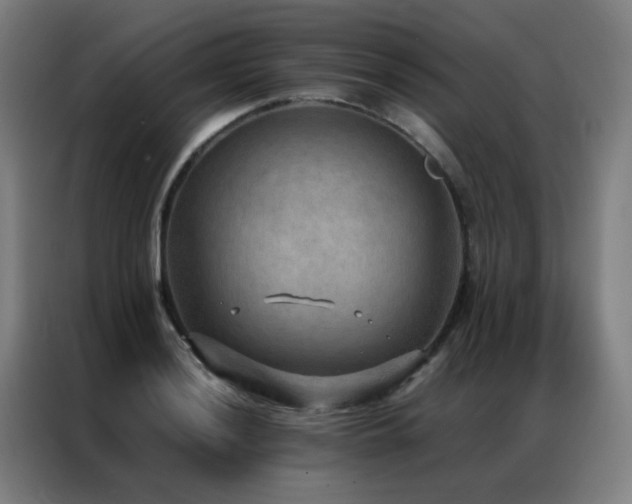 X0000087331036200704201124