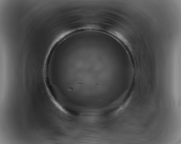 X0000087331037200704201124