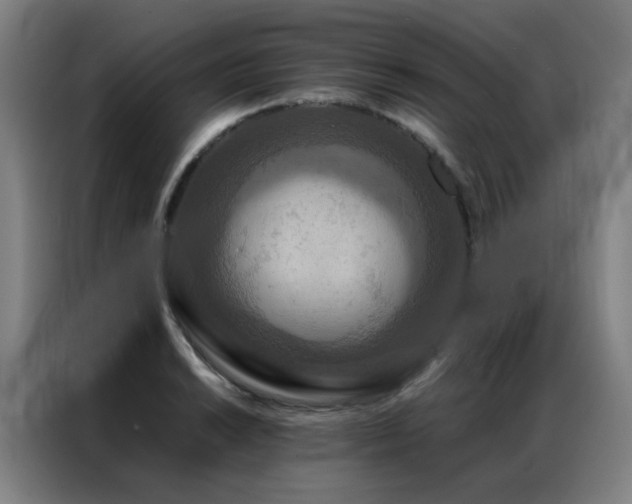 X0000087331038200704201124