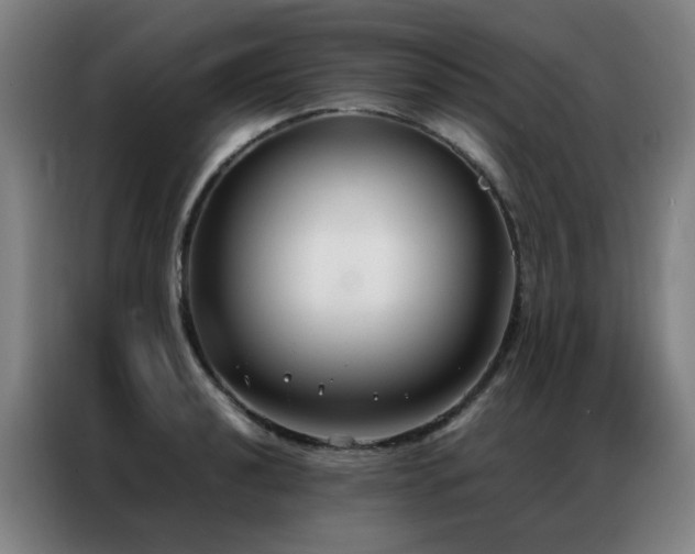X0000087331040200704201124