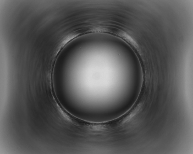 X0000087331041200704201124