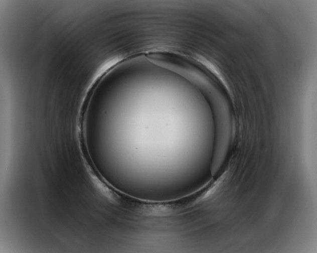 X0000087331042200704201124