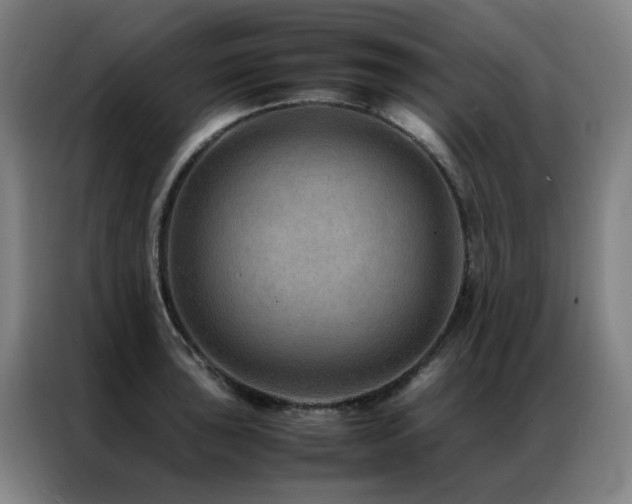 X0000087331043200704201124