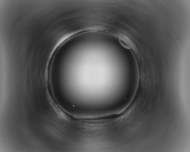 X0000087331044200704201124