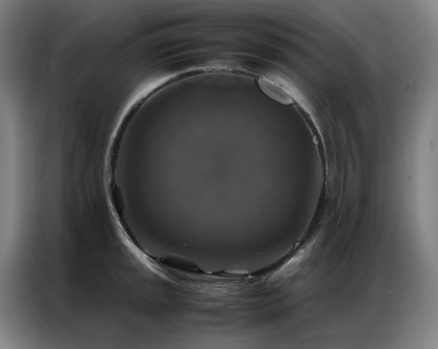 X0000087331045200704201124