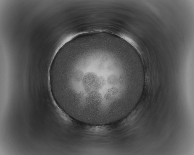 X0000087331047200704201124