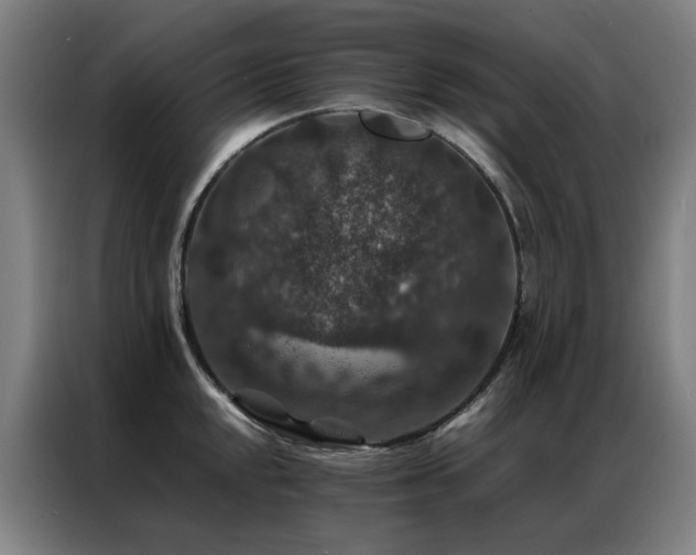 X0000087331048200704201124