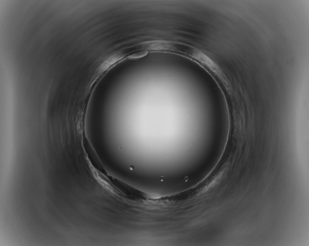 X0000087331049200704201124