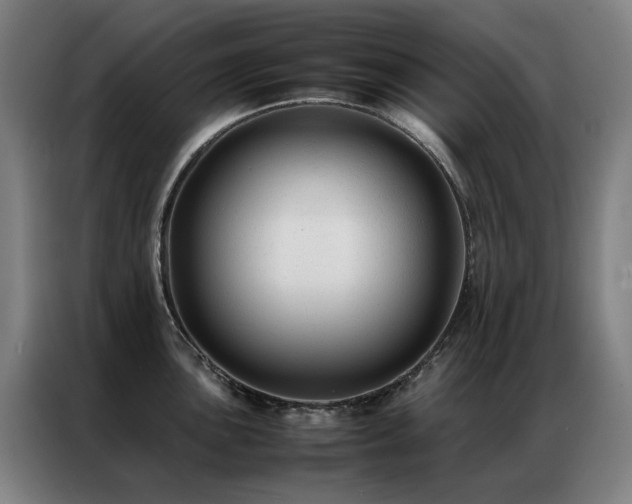 X0000087331051200704201124