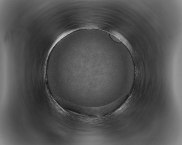 X0000087331052200704201124