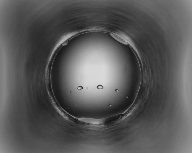 X0000087331053200704201124