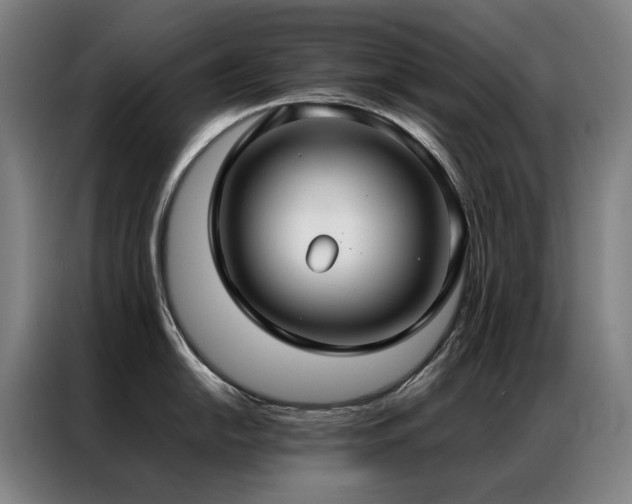 X0000087331054200704201124